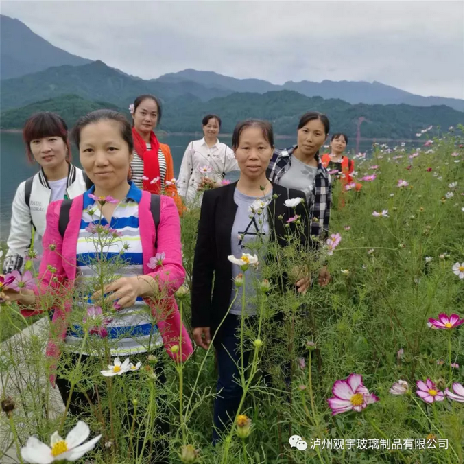 乐动平台玻璃